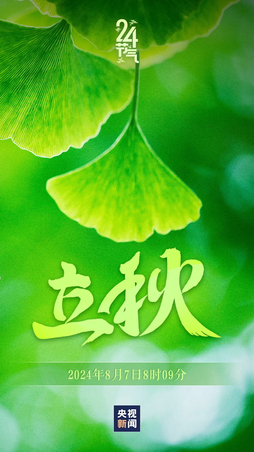 今日，立秋